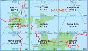 Cubbo 8736-N NSW Topographic Map