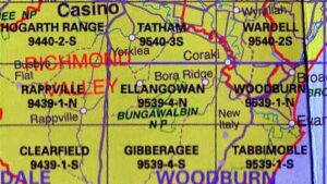 Ellangowan 9539-4-N NSW Topographic Map - Printed