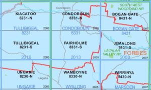 Fairholme 8331-S NSW Topographic Map