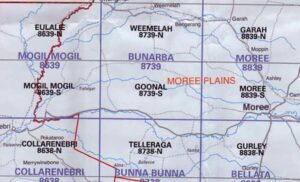 Telleraga 8738-N NSW Topographic Map