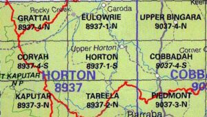 Horton 8937-1-S NSW Topographic Map - Printed