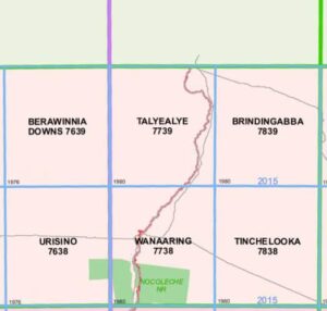 Talyealye 7739 NSW Topographic Map