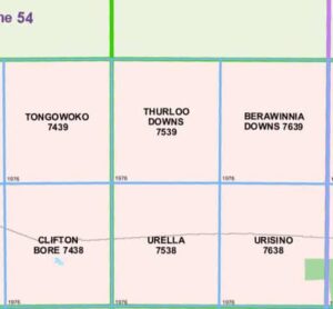 Thurloo Downs 7539 NSW Topographic Map