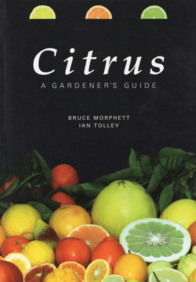 Citrus - A Gardener's Guide