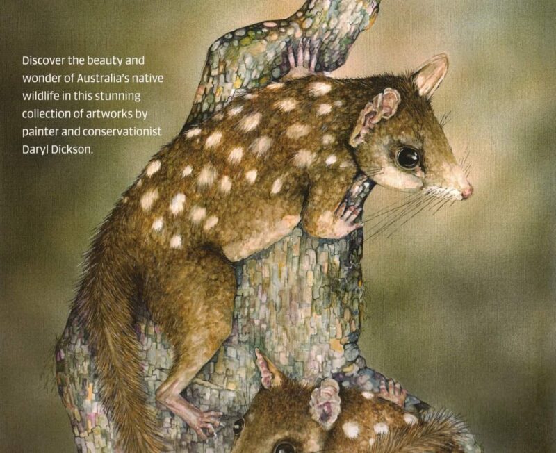 Celebrating Australia's Magnificent Wildlife - Image 3
