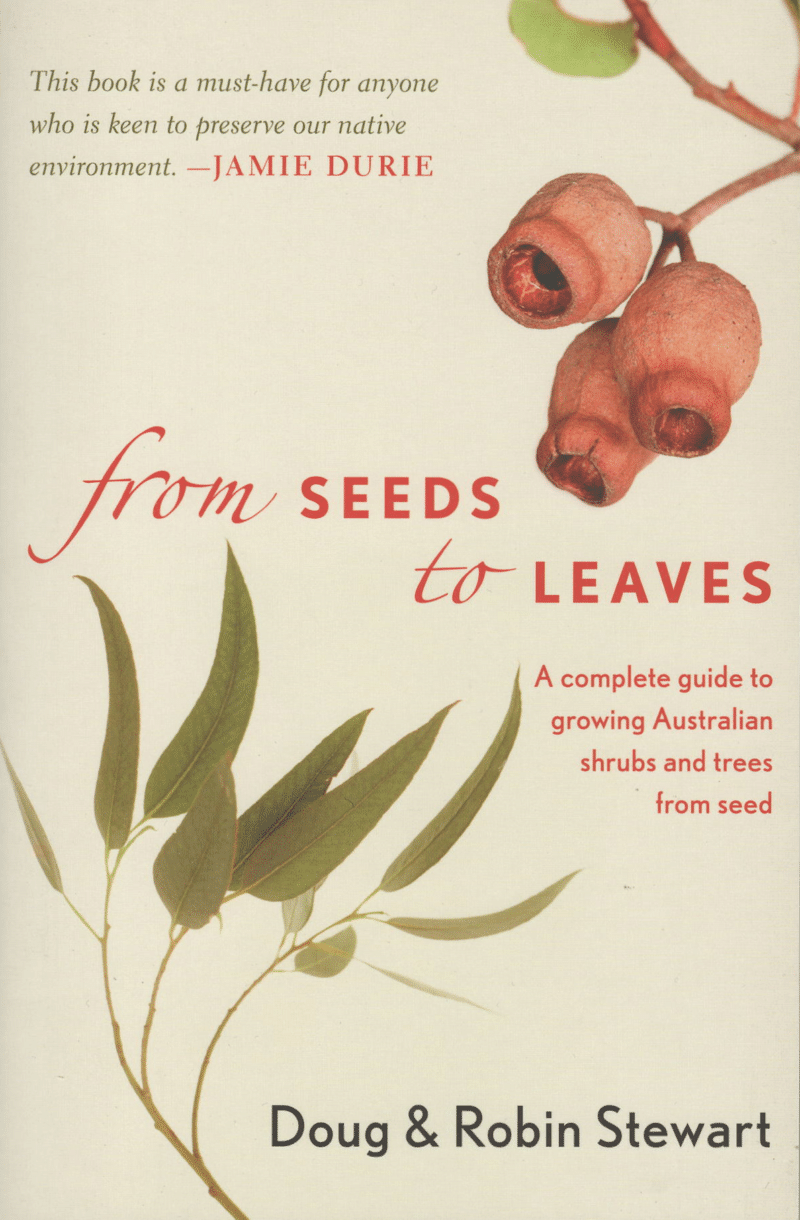 From Seeds to Leaves
