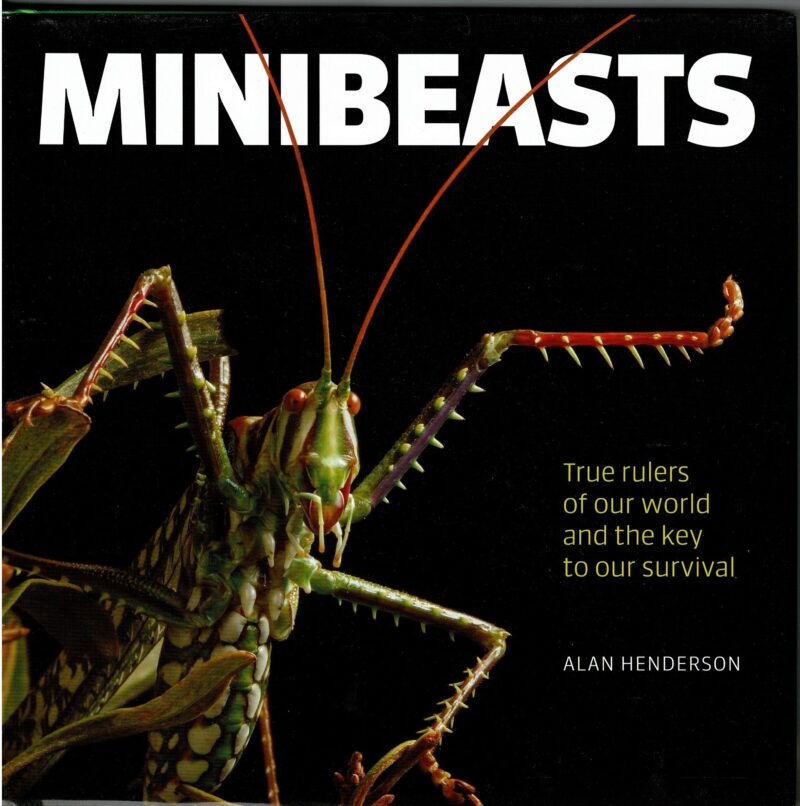 Minibeasts
