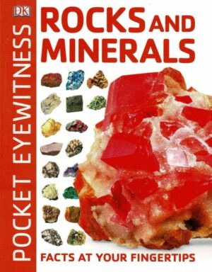 Pocket Eyewitness Rocks and Minerals
