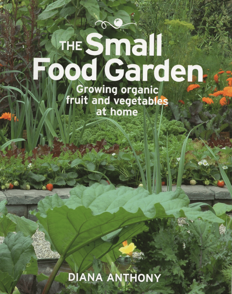 The Small Food Garden